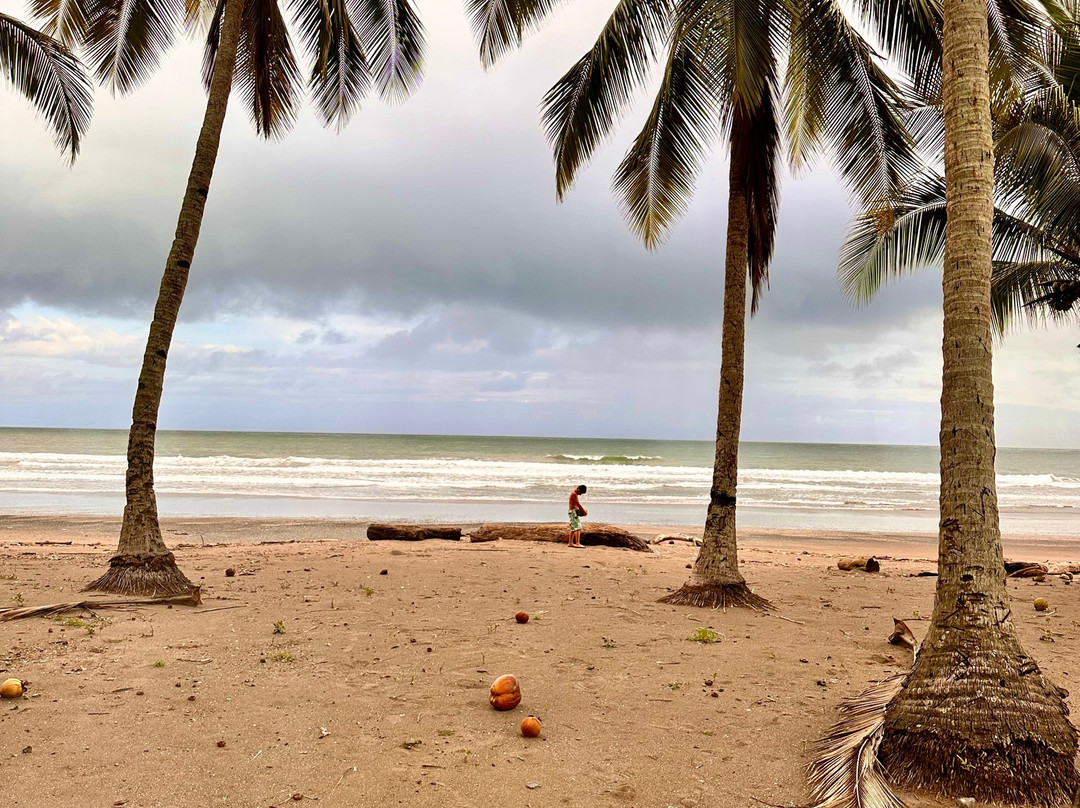 Playa Corozalito景点图片
