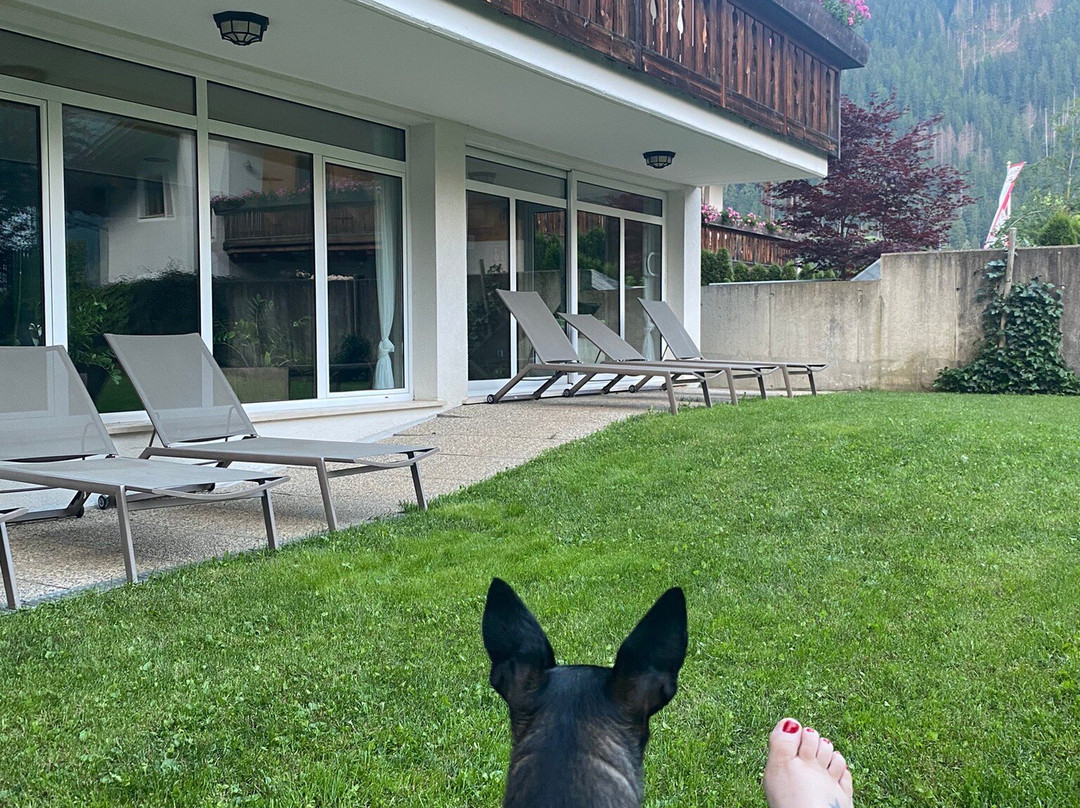 Familienhotel Viktoria主图