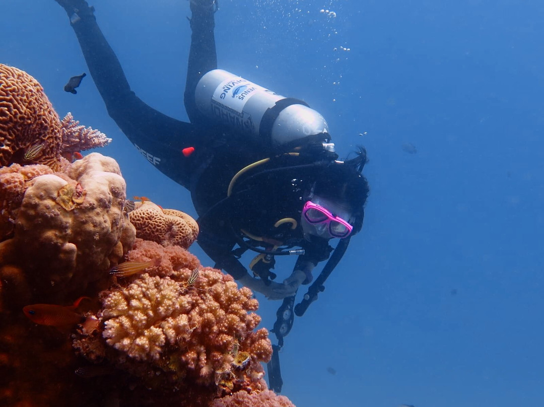 Venus Diving Center-努威巴必去景点