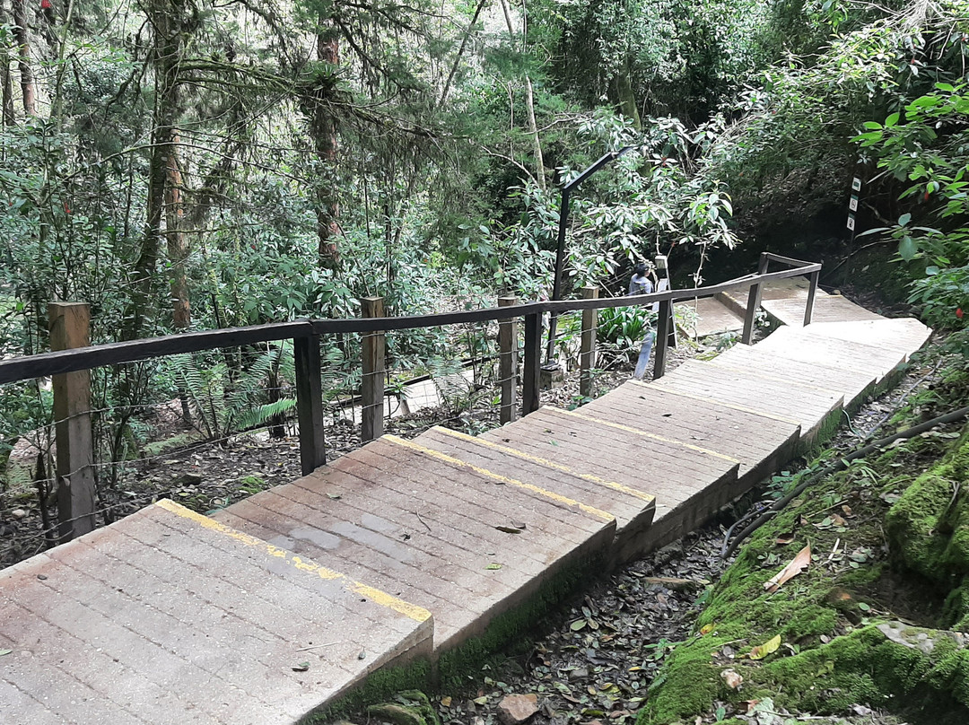 Termales Los Volcanes主图