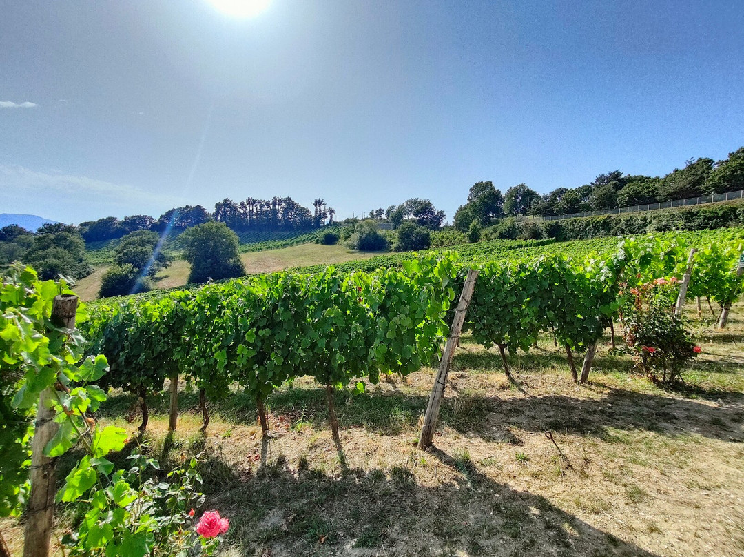 Borgo San Gregorio
