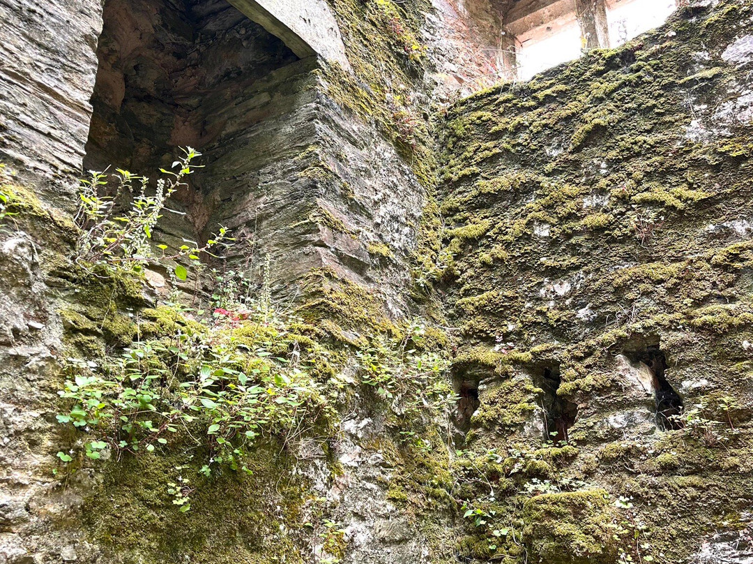Berry Pomeroy Castle-托特尼斯必去景点