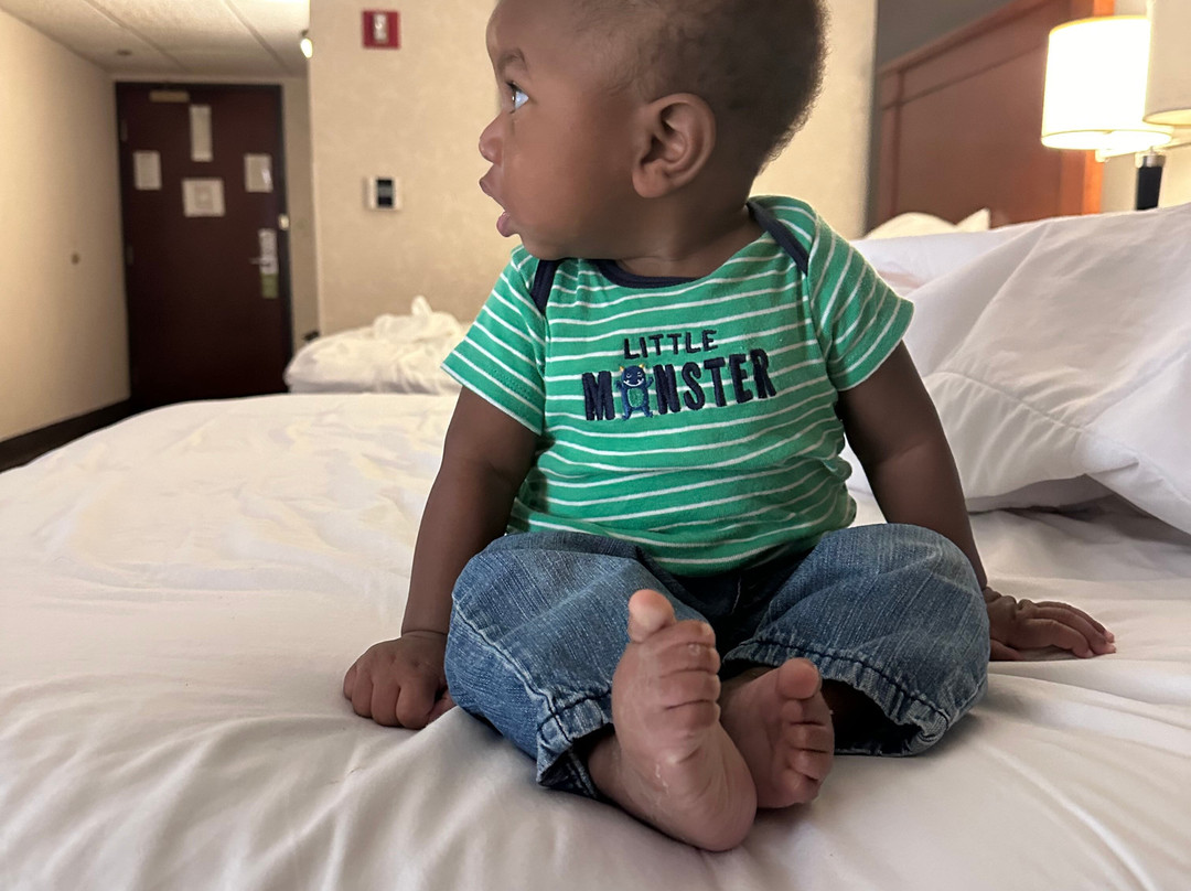 Drury Plaza Hotel St. Louis Creve Coeur主图