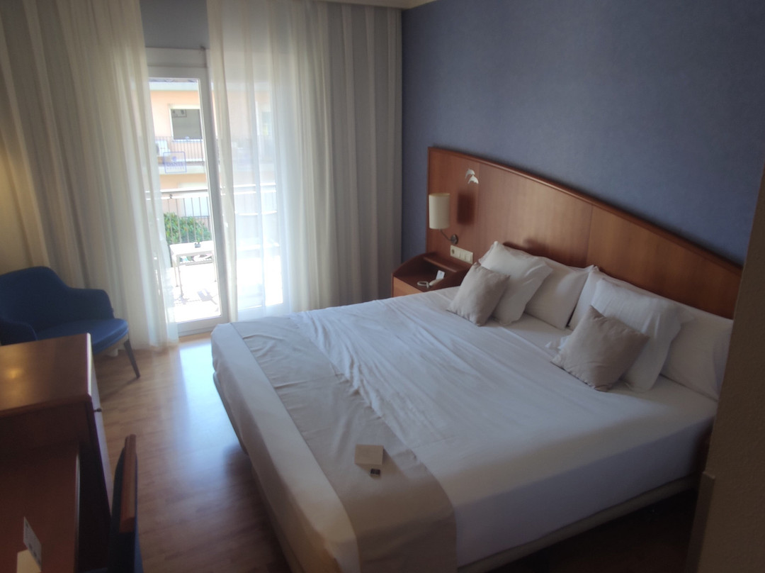 Hotel Delfin主图