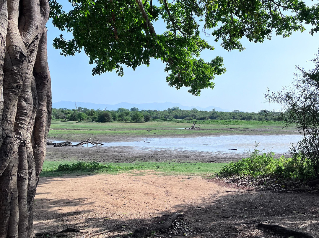 ChamiTours Hambantota-Hambantota必去景点