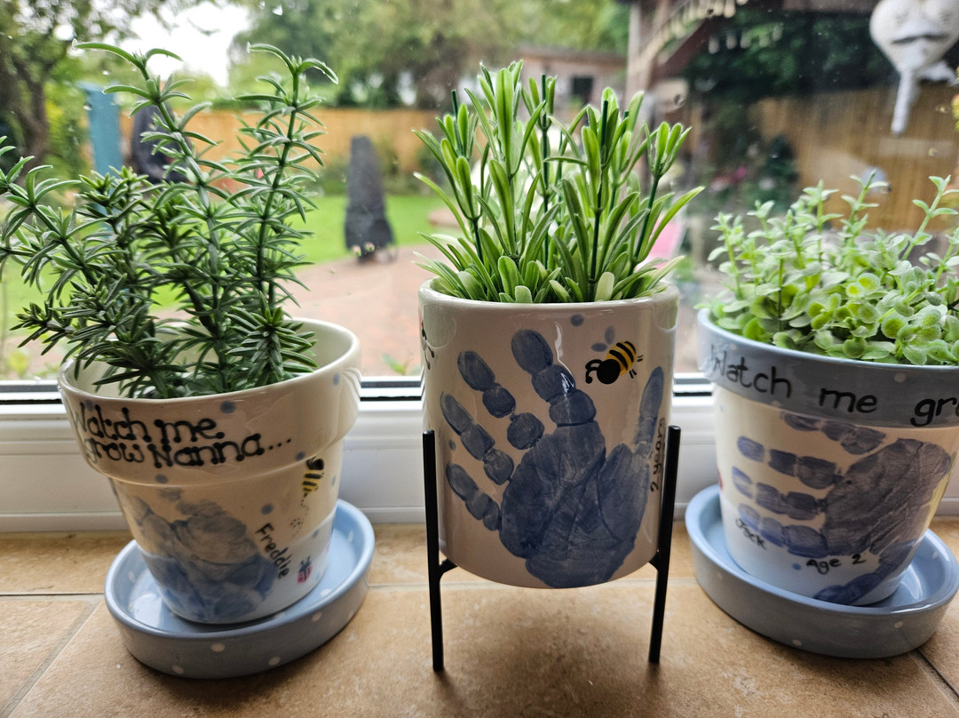 The Paint Box-克利索普斯必去景点