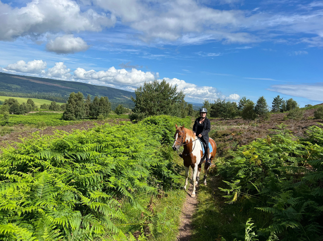 Loch Ness Riding景点图片