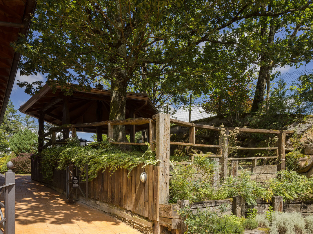 艾特瑟格纳水疗酒店主图