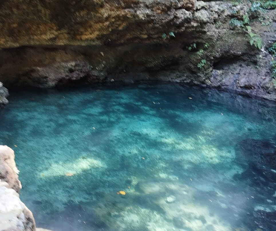 Tembeling Beach and Forest-珀尼达岛必去景点