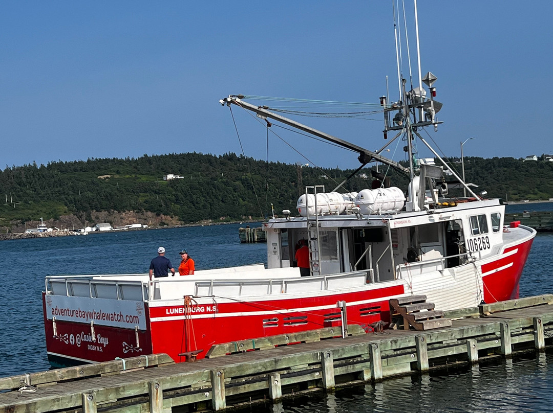 Adventure Bay Whale Watch Co.景点图片