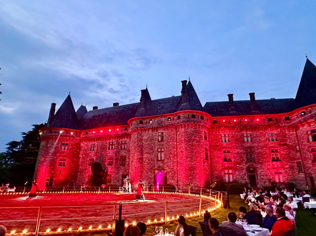 Château de Pompadour景点图片