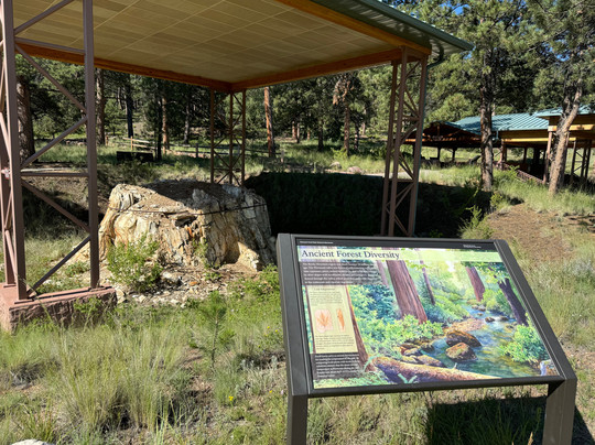 Florissant Fossil Beds National Monument-Florissant必去景点