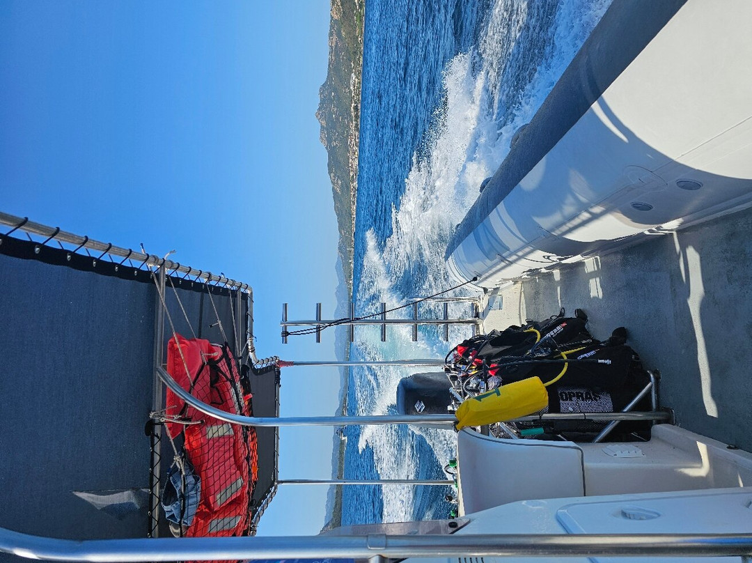 Scuba Revolution Sardinia-Cannigione必去景点