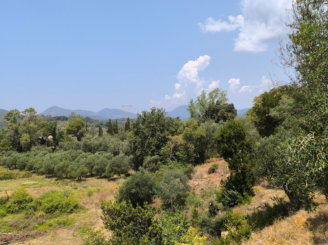 Georges bikes-Agios Georgios必去景点