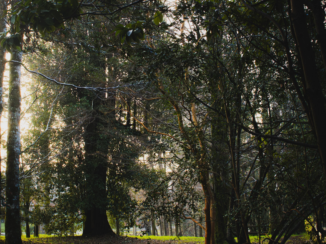 Parque Urbano El Bosque-瓦尔迪维亚必去景点
