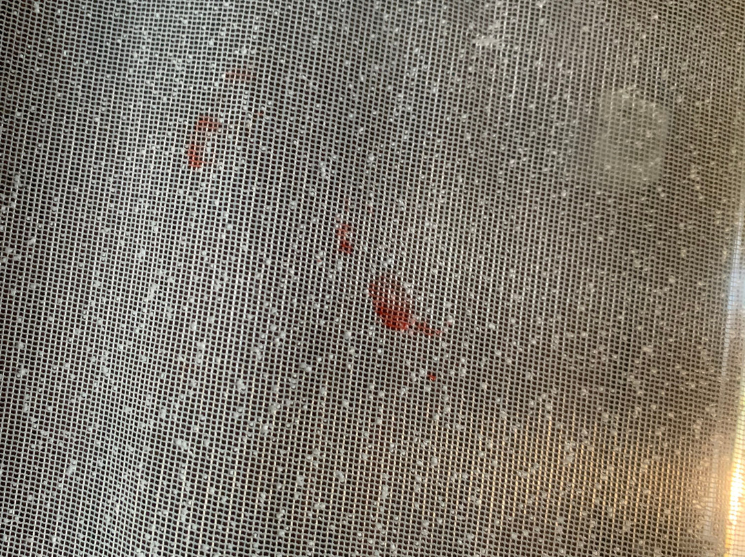 卡迪迪利天堂酒店主图