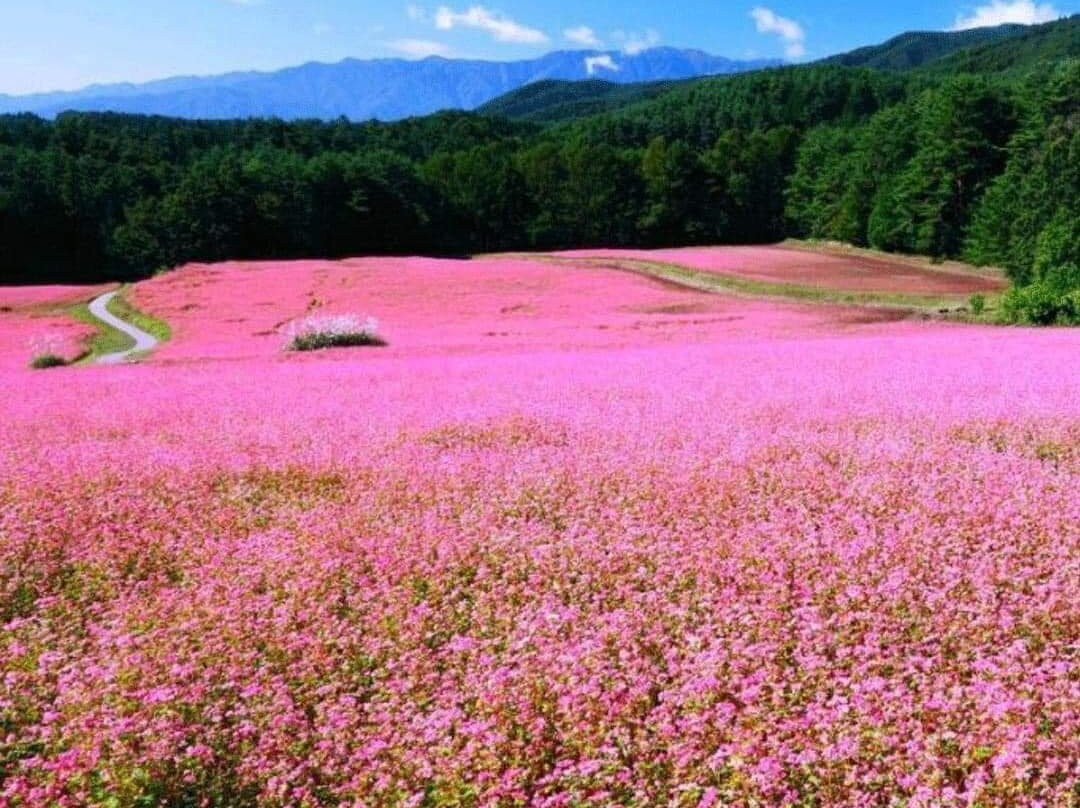 Sary-Ha Giang必去景点
