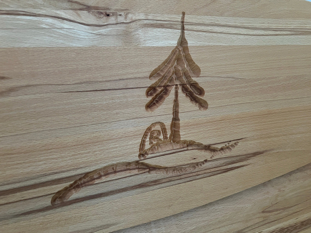 Rennsteighotel Gruner Baum主图