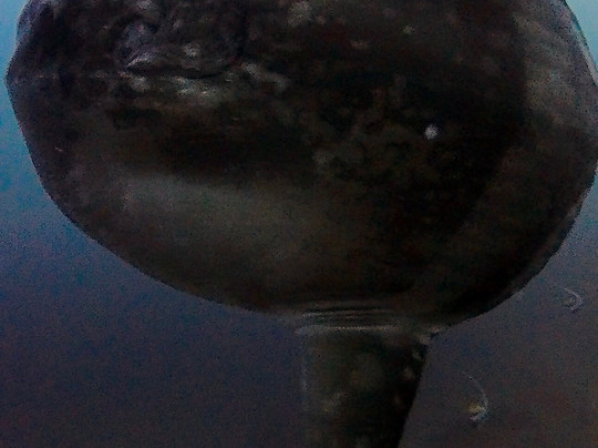 Octopus Dive Nusa Penida-珀尼达岛必去景点