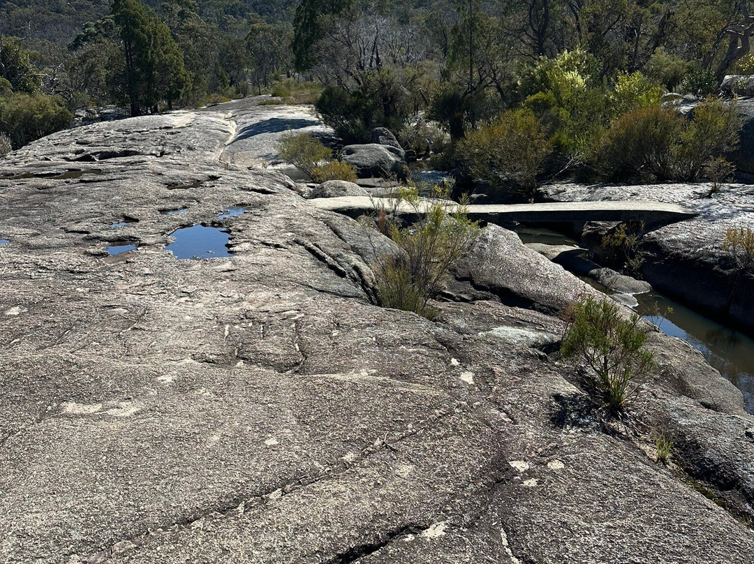 Girraween Country Inn主图