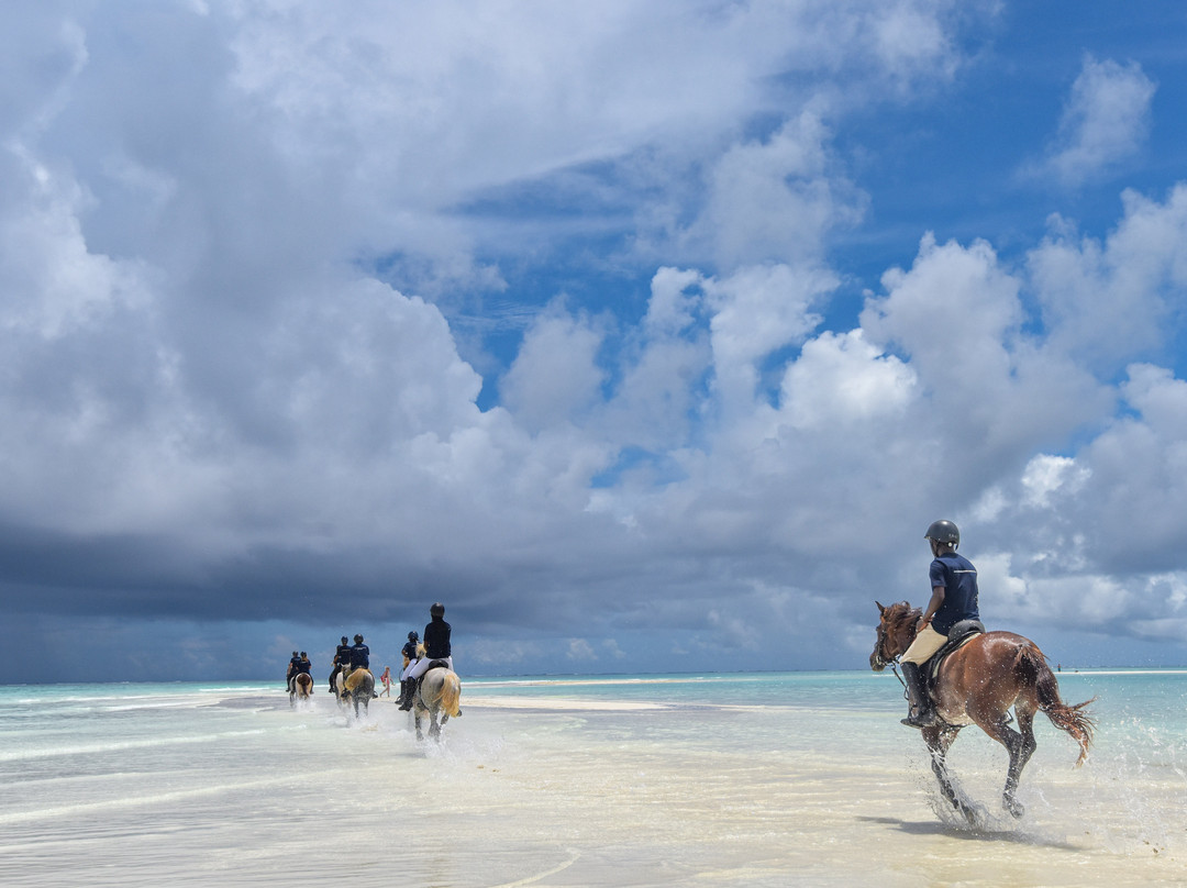 Zanzibar Horse Club-孥归必去景点