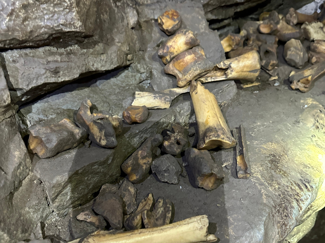 Canmore Cave Tours-坎莫尔必去景点