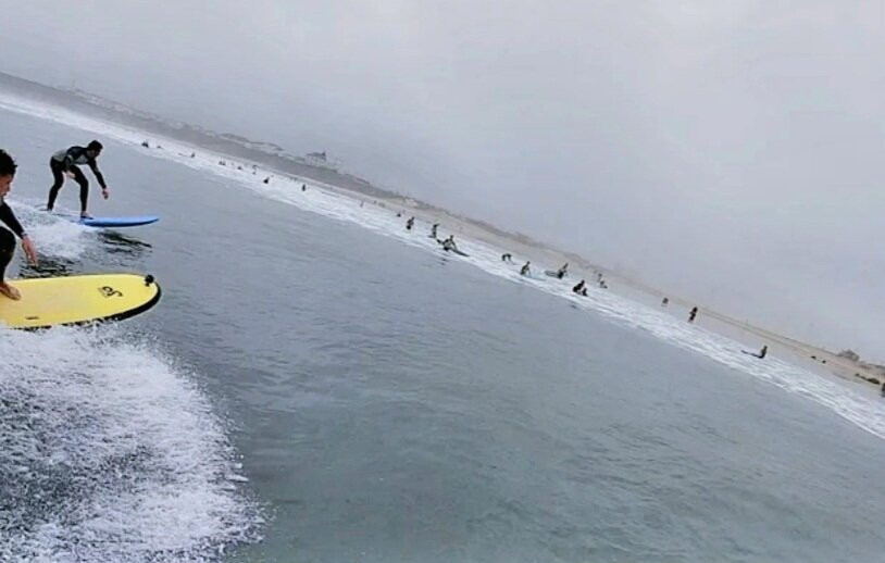 Praia do Salgado-Sao Martinho do Porto必去景点