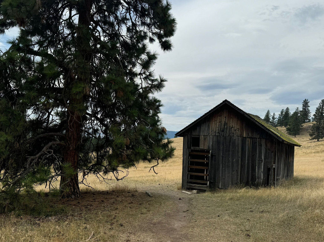 Boat Rentals and Rides on Flathead Lake景点图片