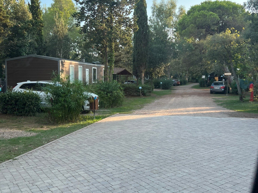 Campo dei Fiori景点图片
