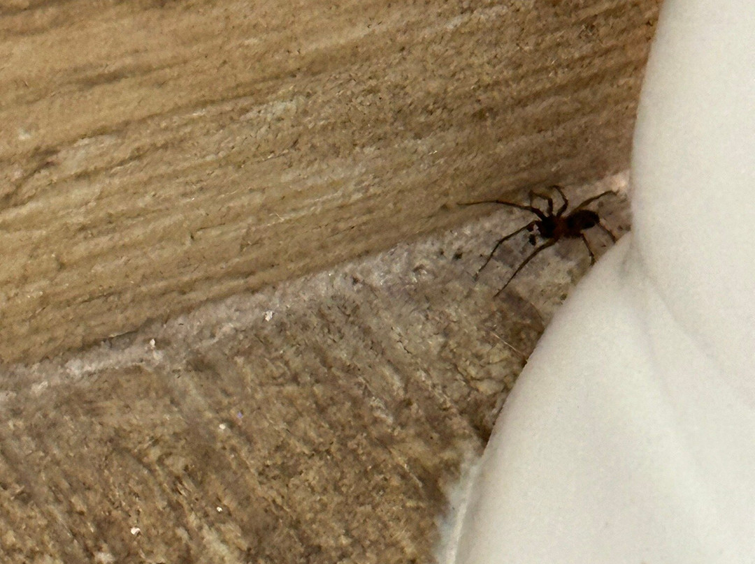 阿森斯希尔顿恒庭酒店主图