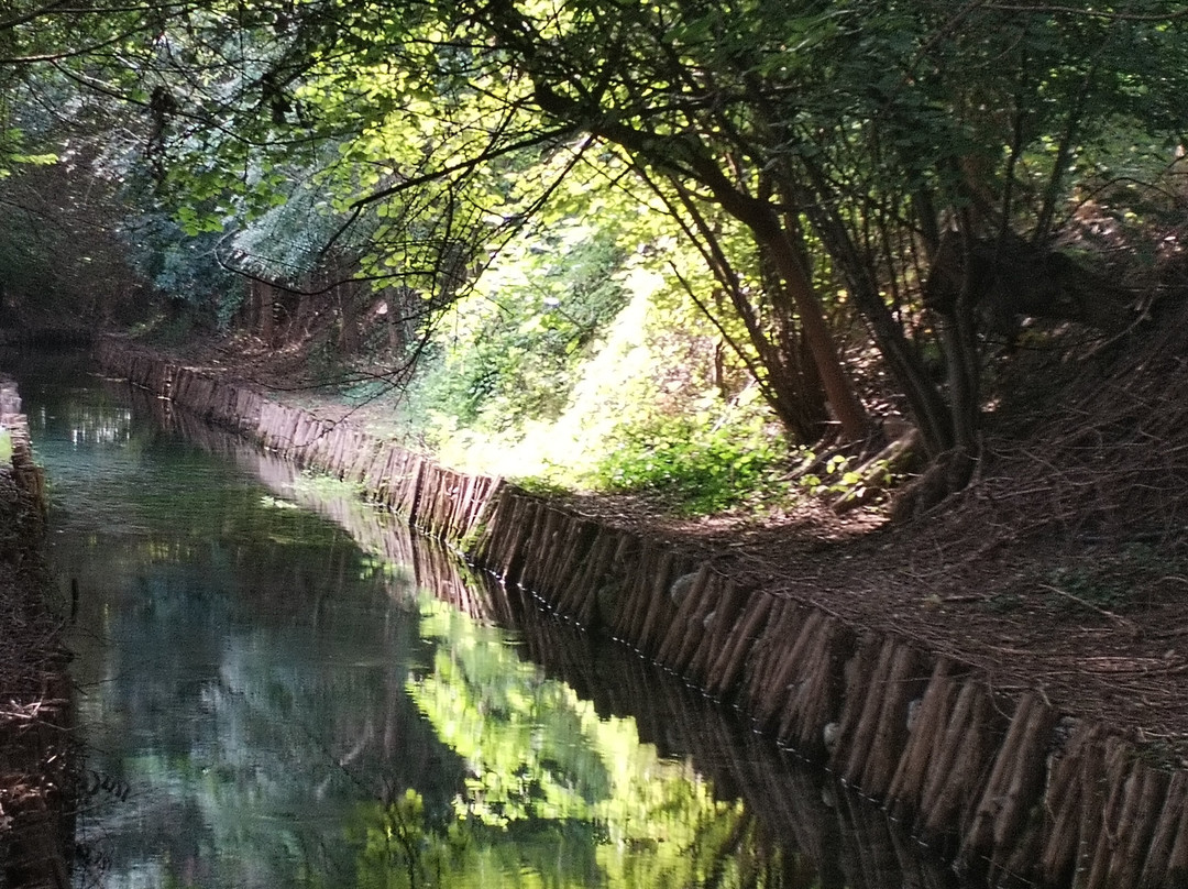 Songente del Fiume Tartaro景点图片