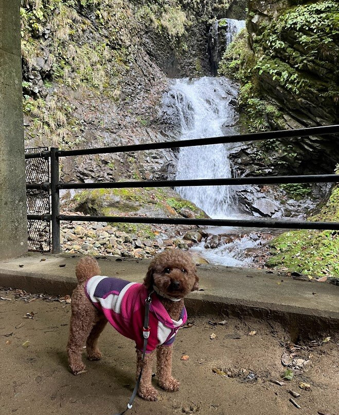 Ryuka Waterfall-那须盐原市必去景点