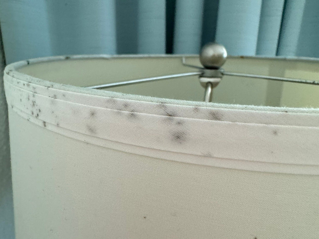 Admiral on Baltimore主图