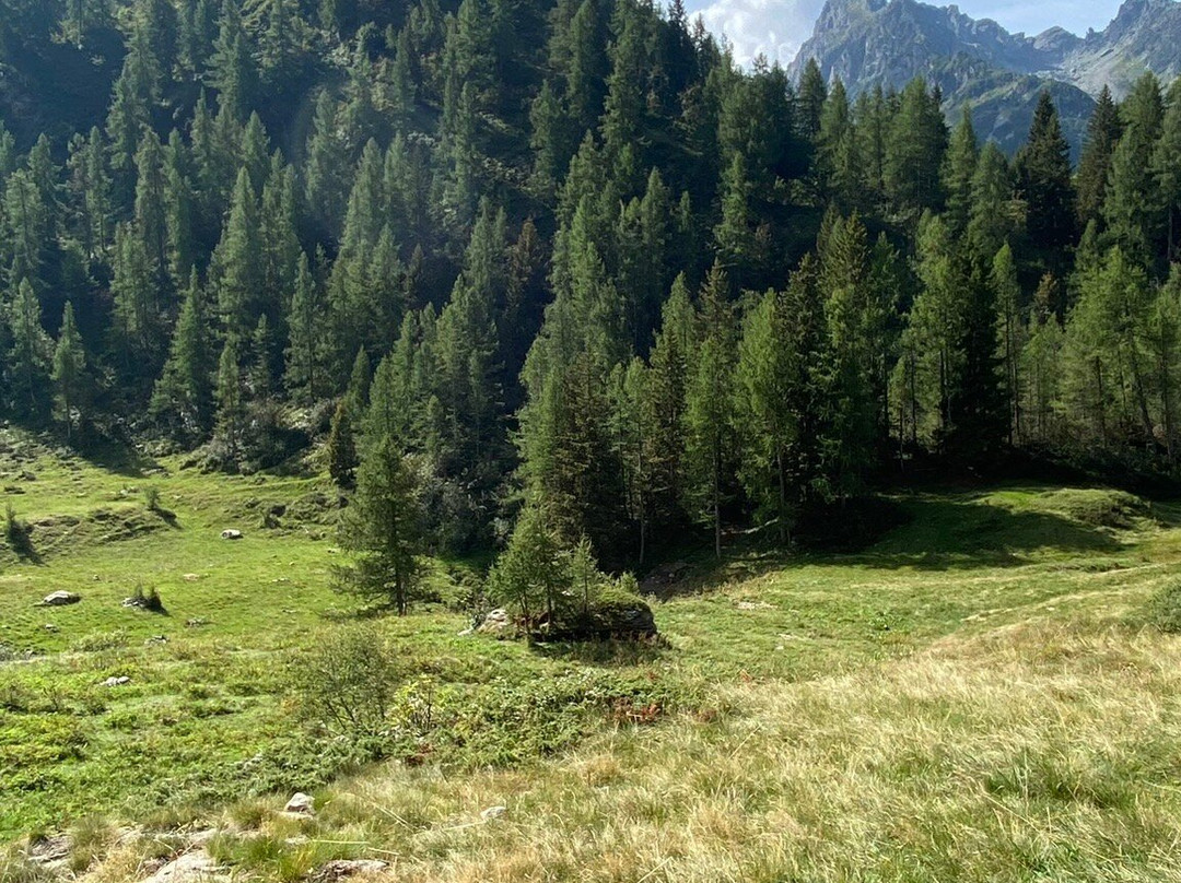 Borgo di Pagliari景点图片