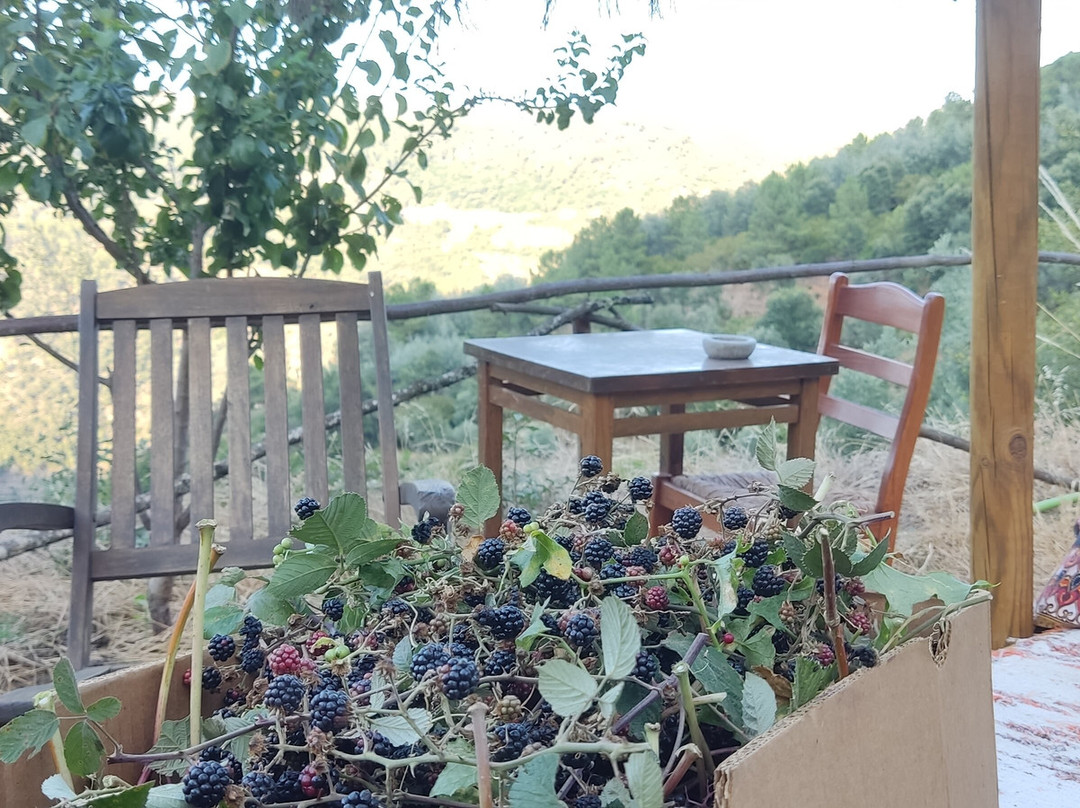 Quinta Do Luar-null必去景点