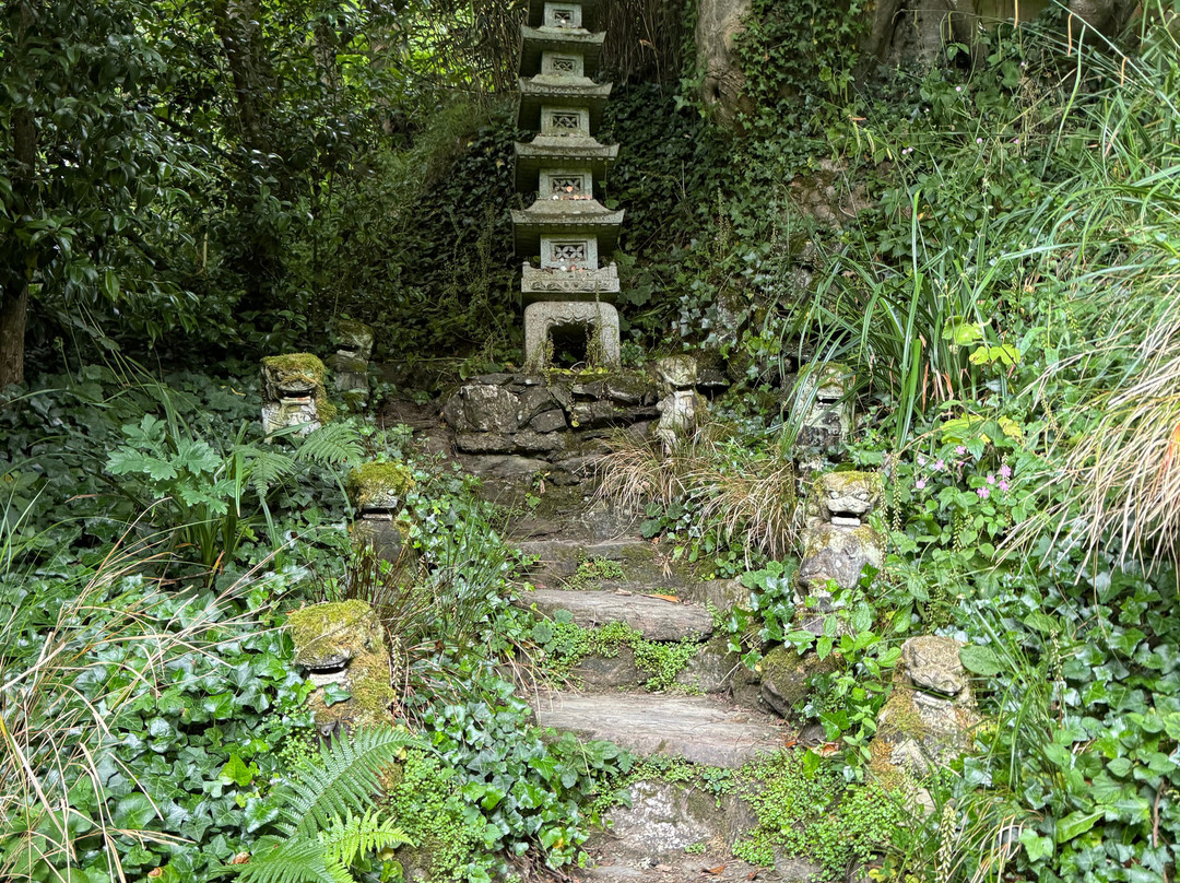 The Japanese Garden景点图片