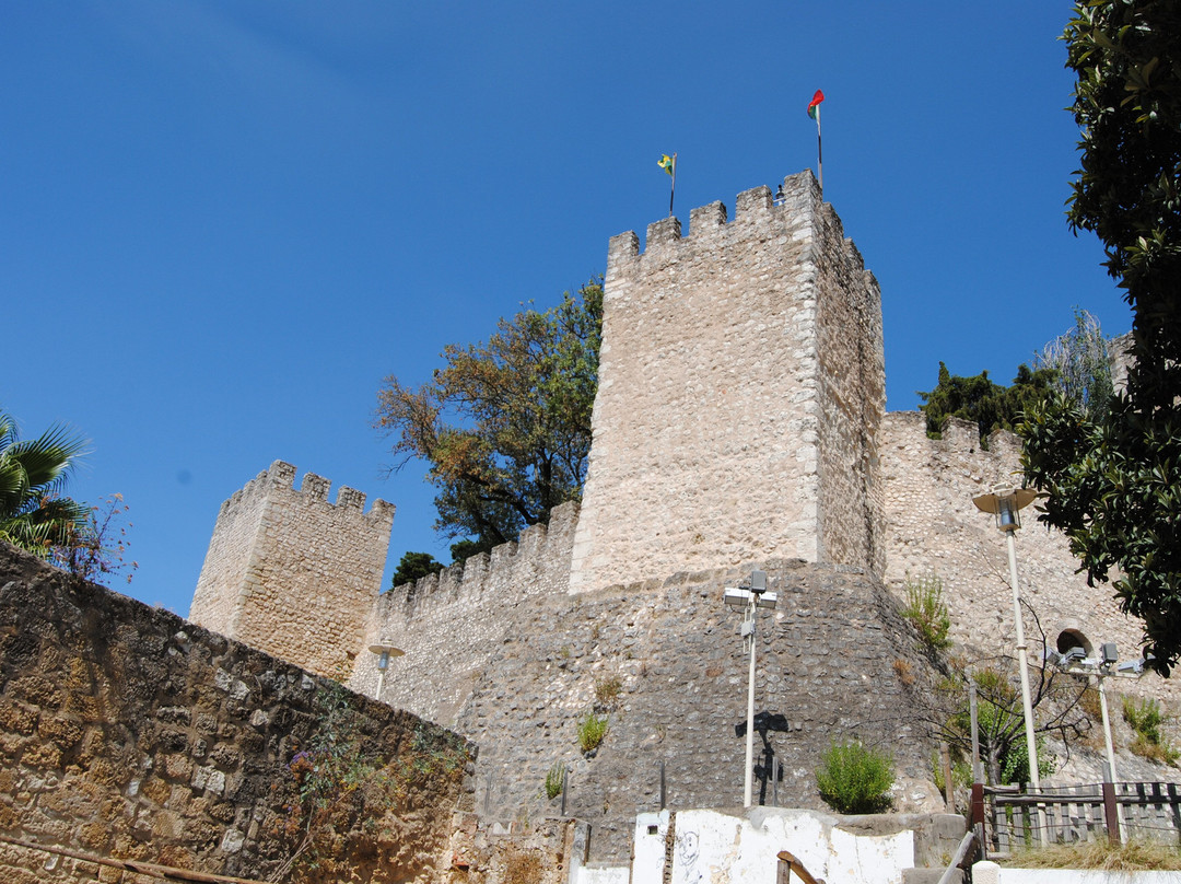 Castelo de Torres Novas景点图片
