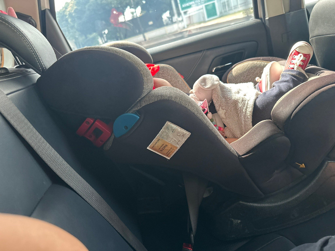 LB Transfer-嘎林海斯港必去景点