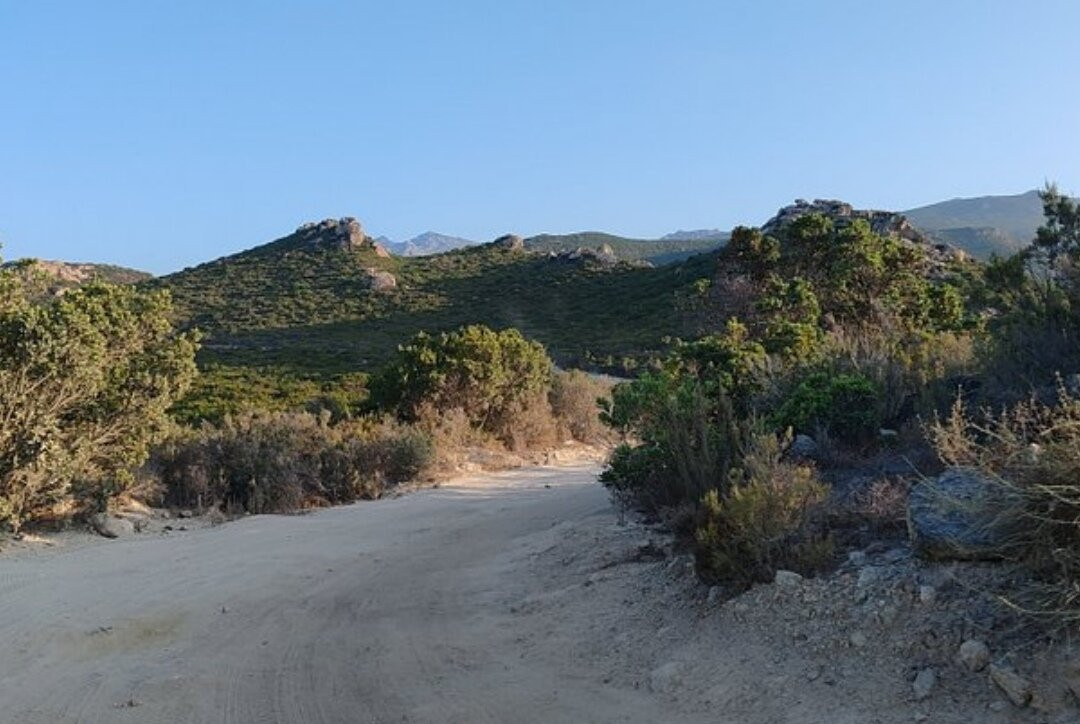 Plage de Saleccia-Santo-Pietro-di-Tenda必去景点