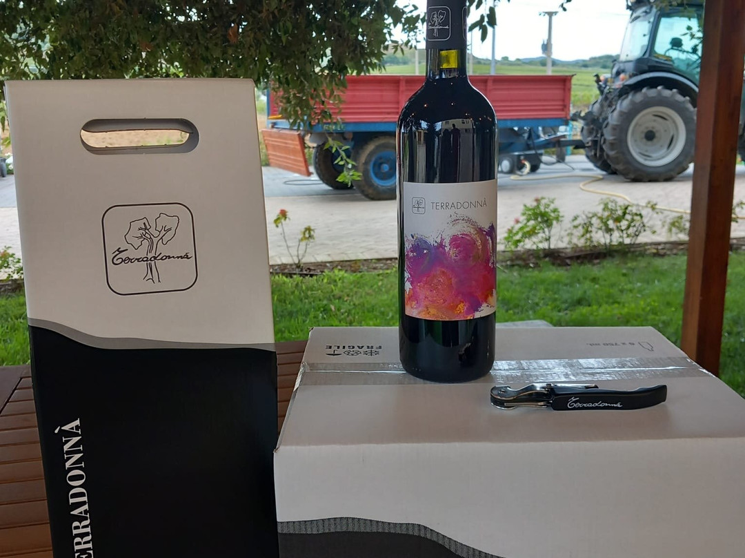Azienda Agricola Terradonnà景点图片