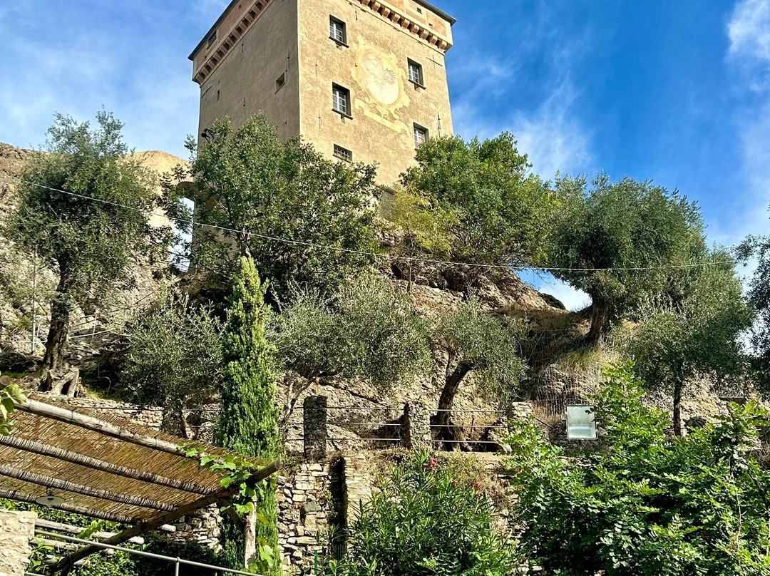 Agririfugio Molini主图