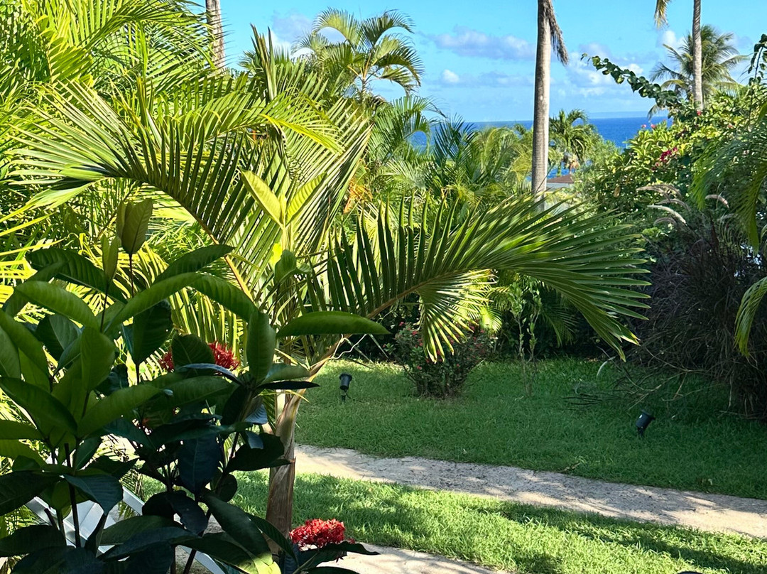 Residence Cocody主图