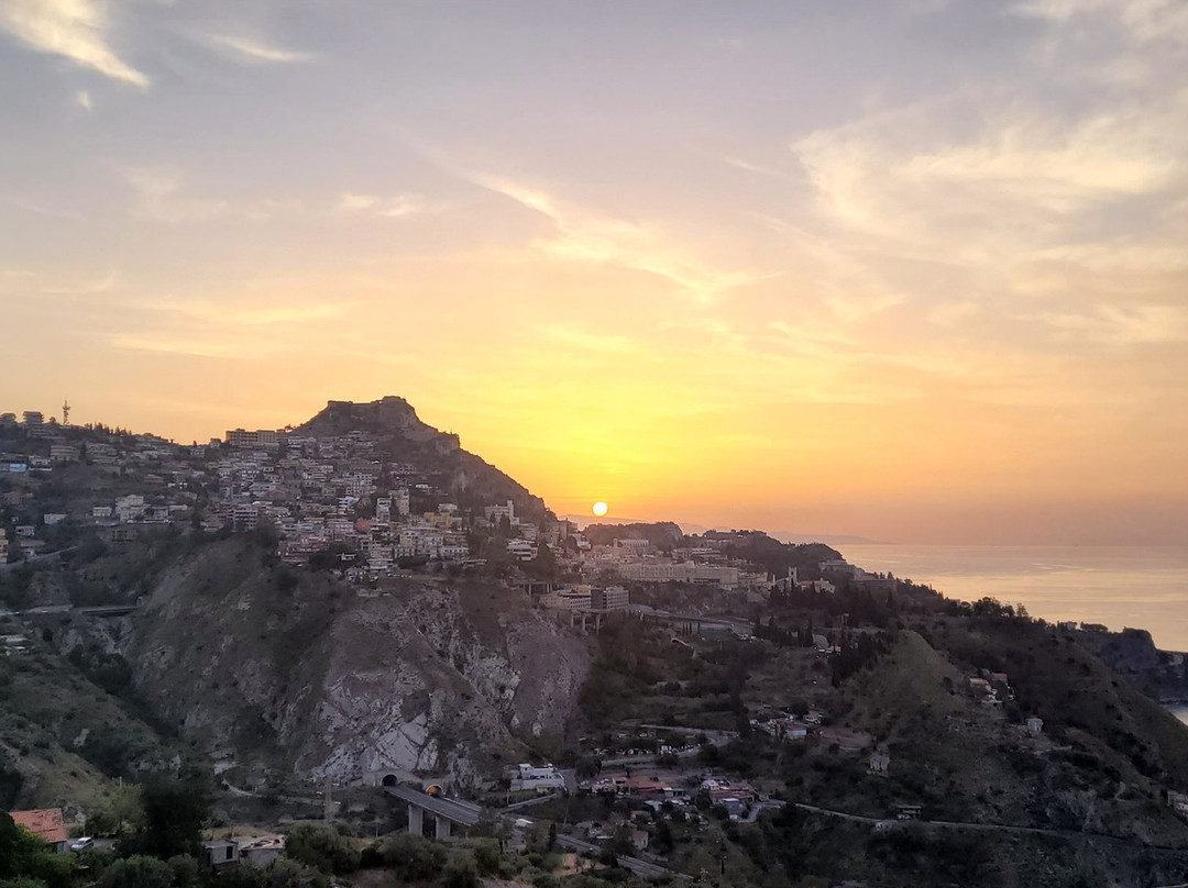 The Lemon Tree主图