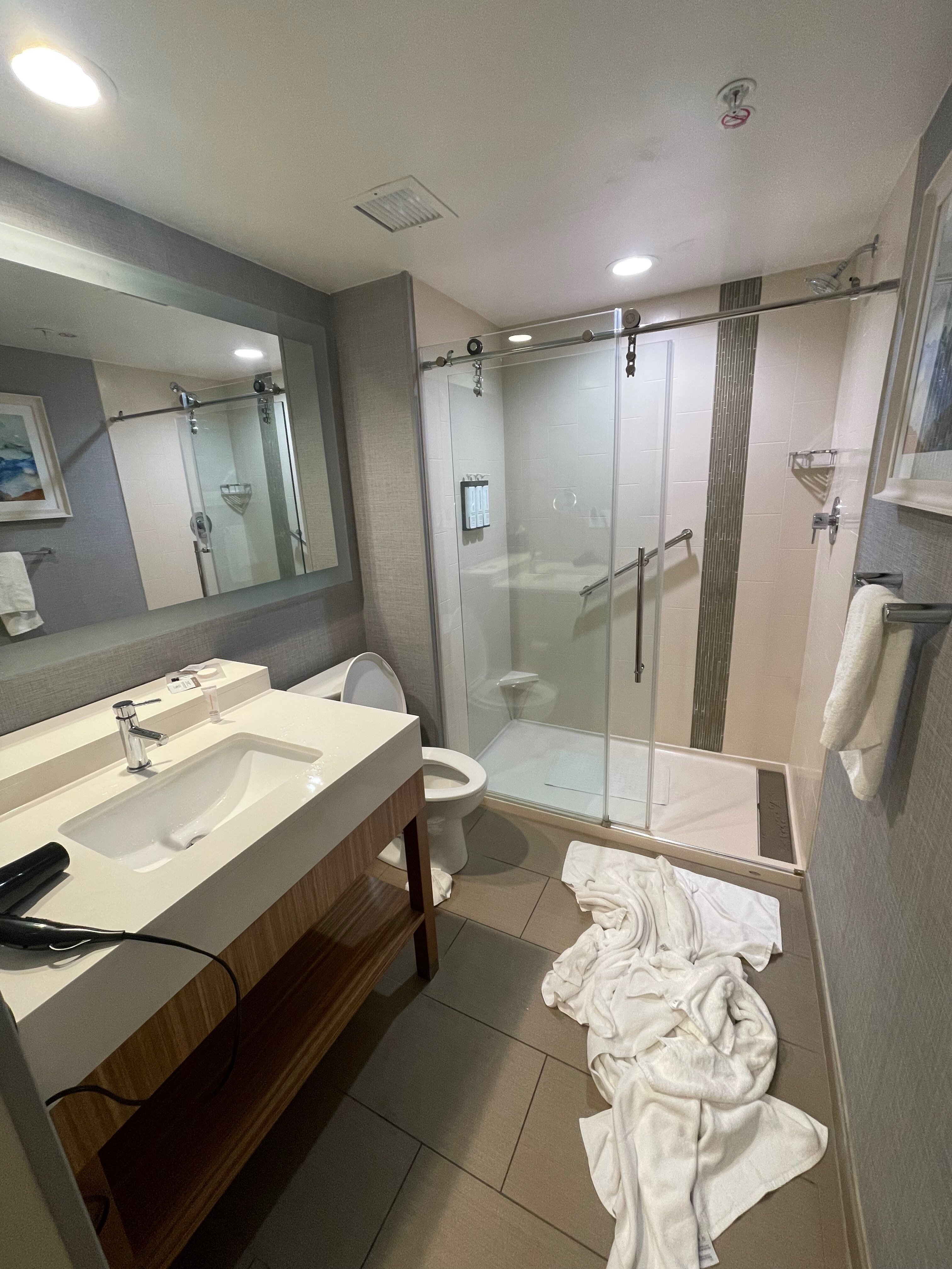 Hyatt Place Jacksonville St. Johns Town Center-浴室