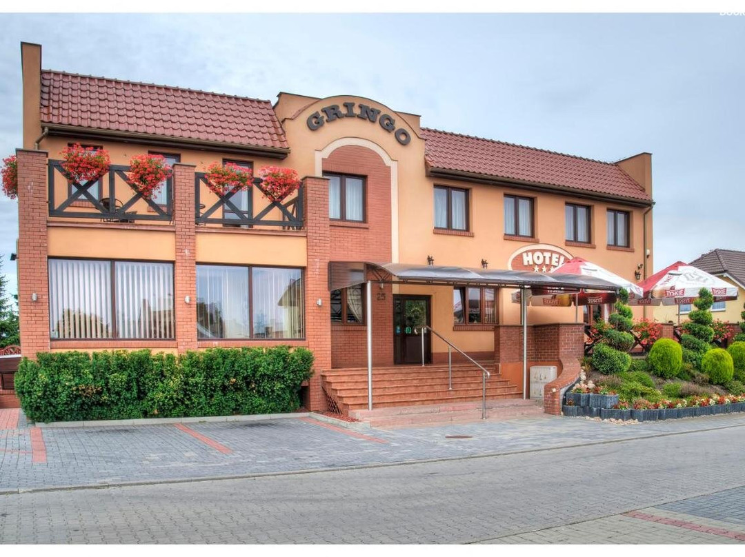 Hotel Gringo主图