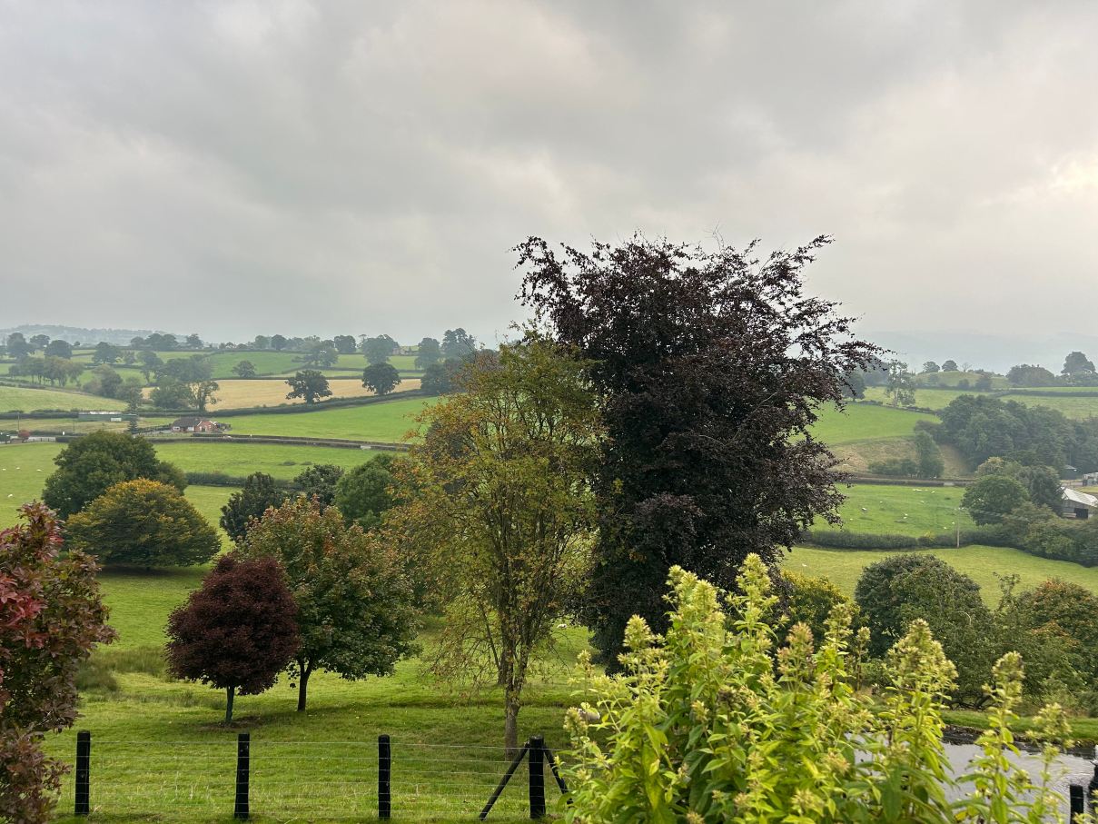 Tynllwyn Farm-浴室