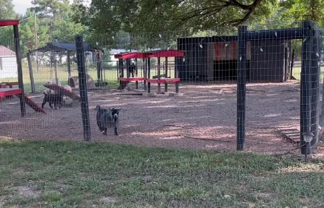 Happy Goat Retreat主图