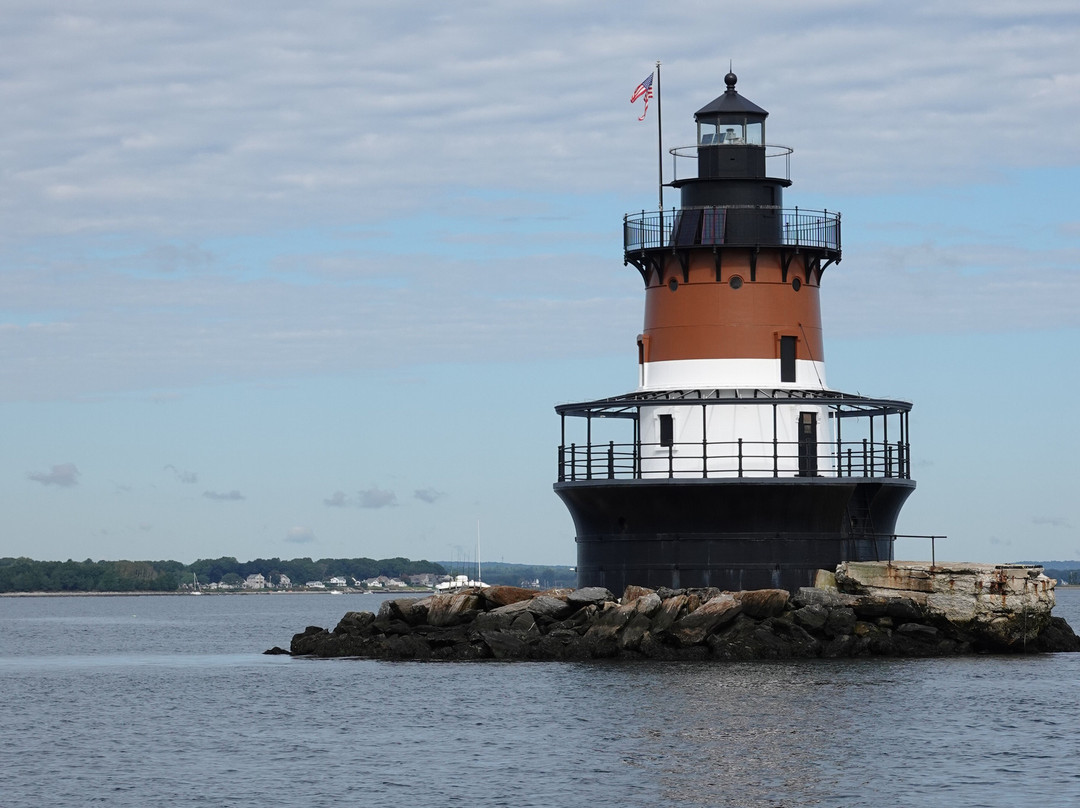 Save The Bay Seal Watch & Nature Cruises-纽波特必去景点