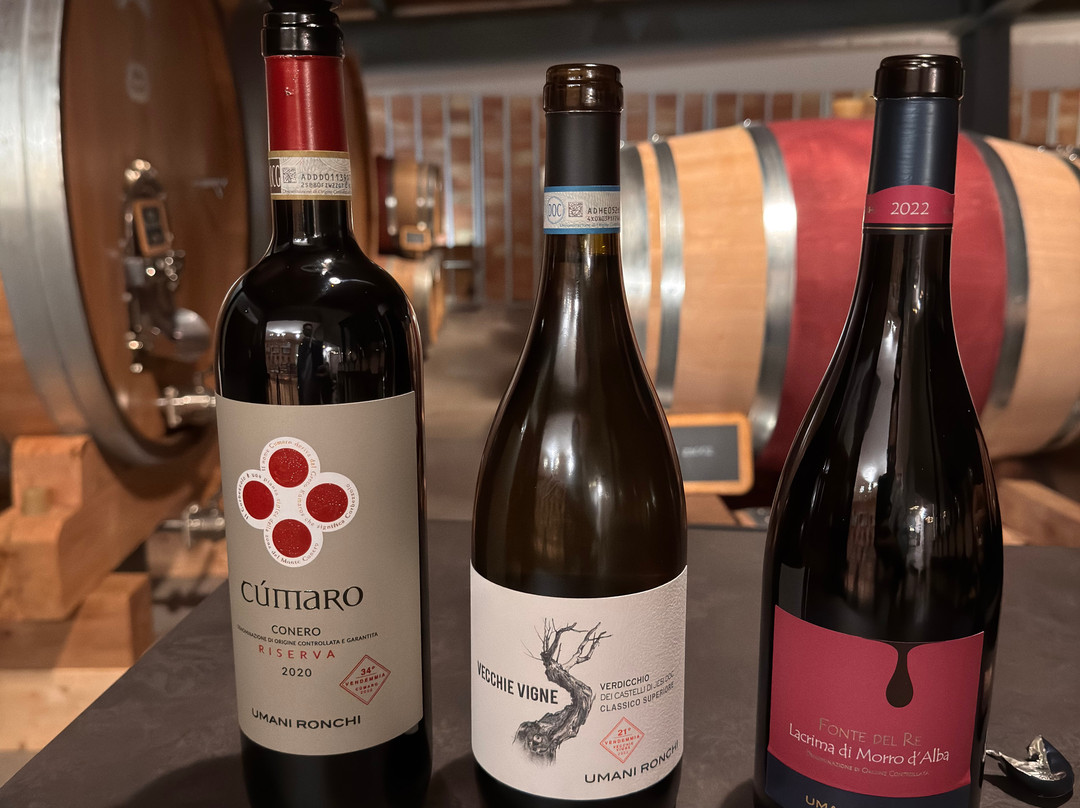 Umani Ronchi Winery-奥西莫必去景点