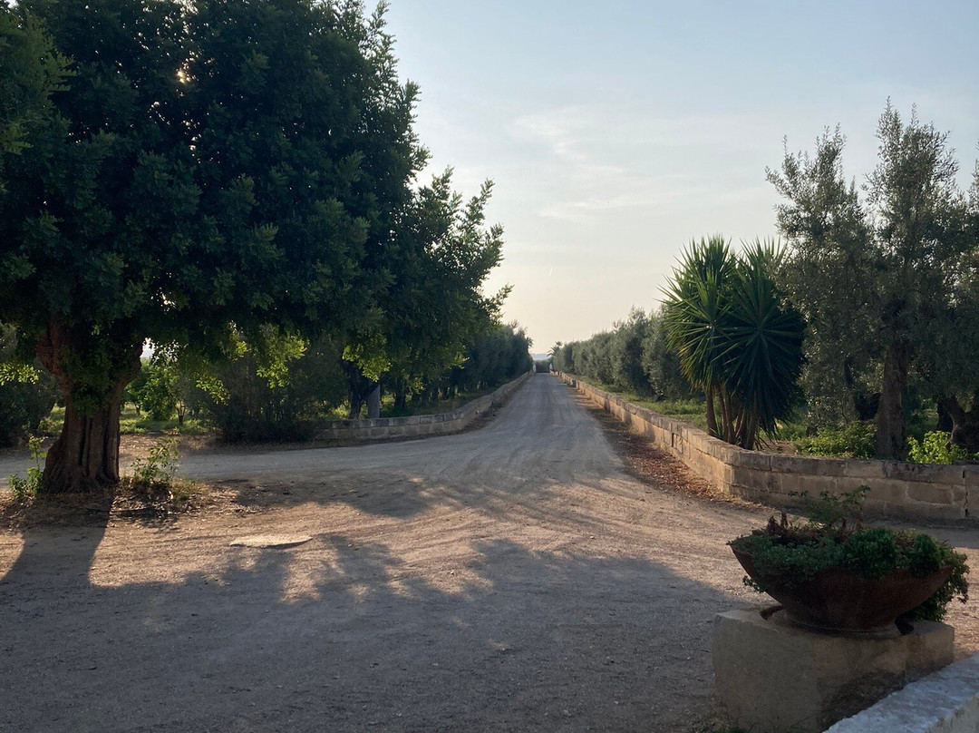 Masseria La Brunetta主图